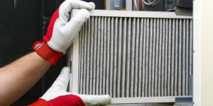 air purifier maintenance